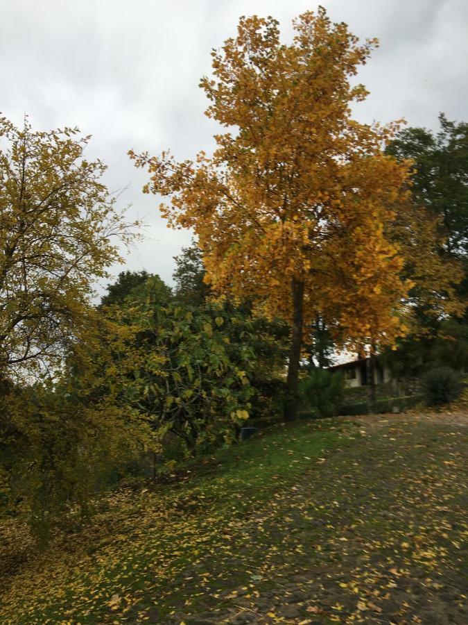 Quinta De Silharezes, Lda Villa Ponte da Barca Kültér fotó